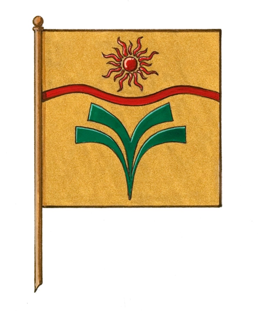 Town of Taber Flag