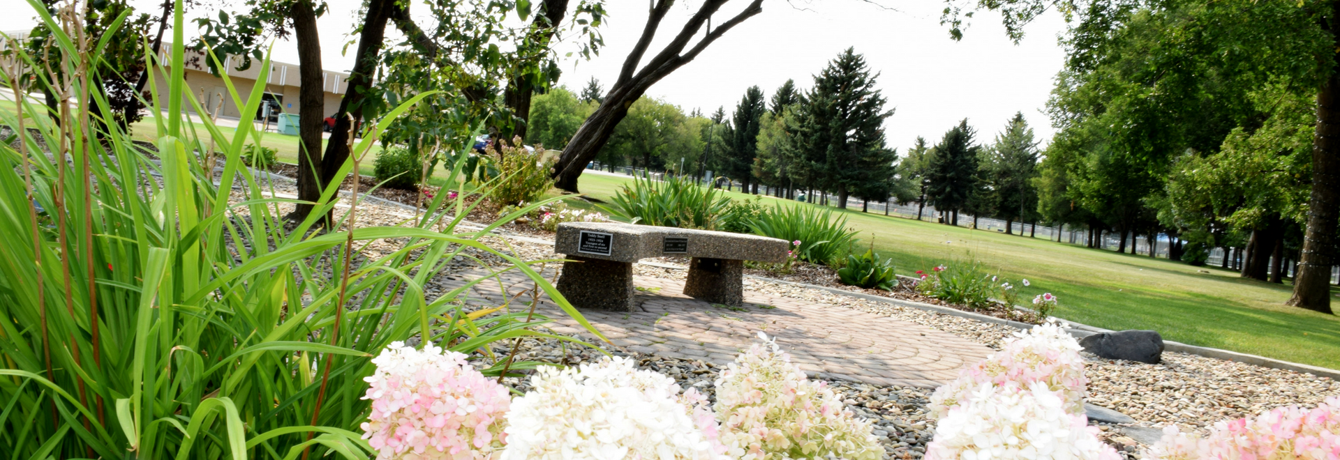 Confederation Park Bench