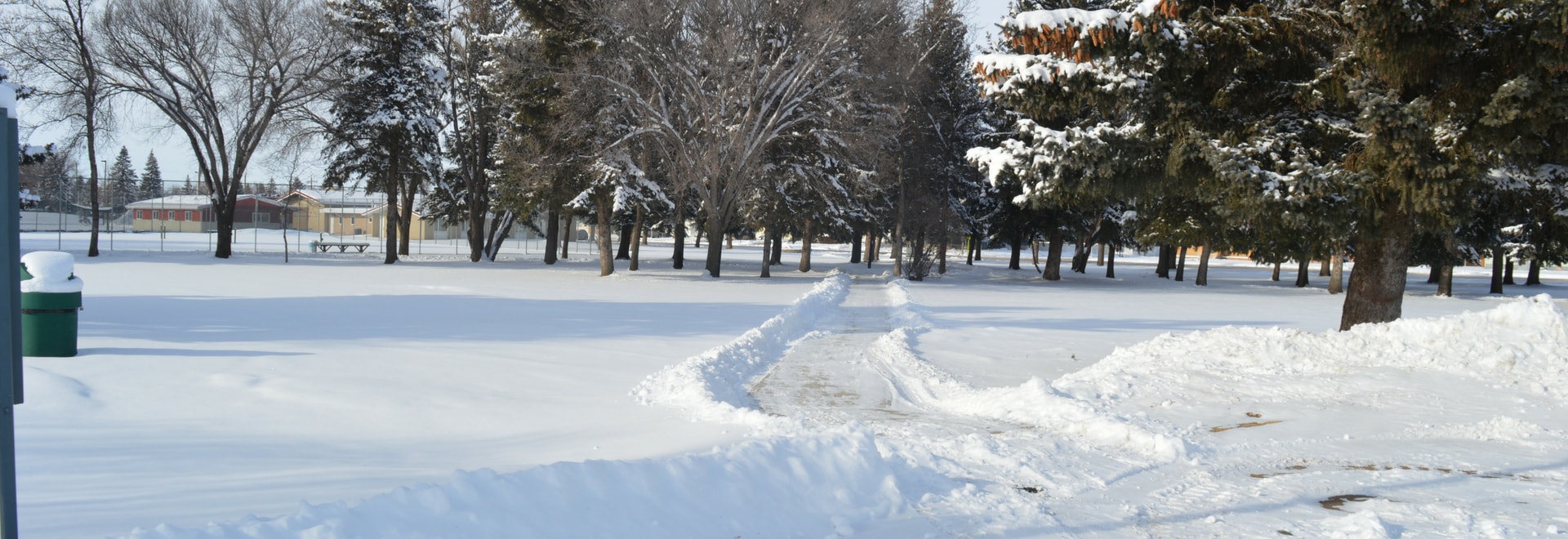 Snow in Confederation Park