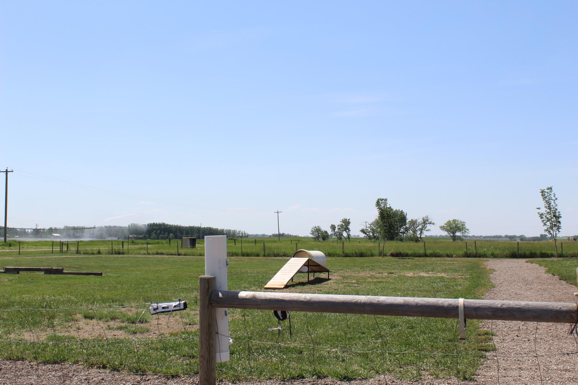 Off Leash Dog Park