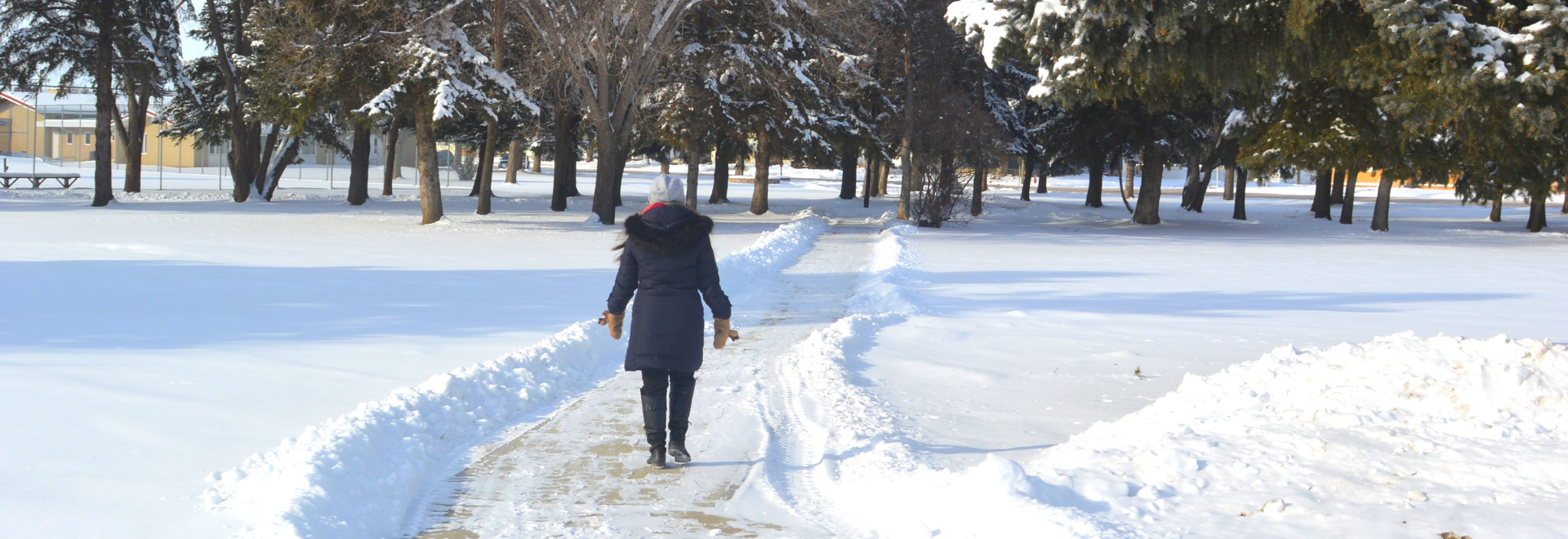 Walking in snow in Confederation Park