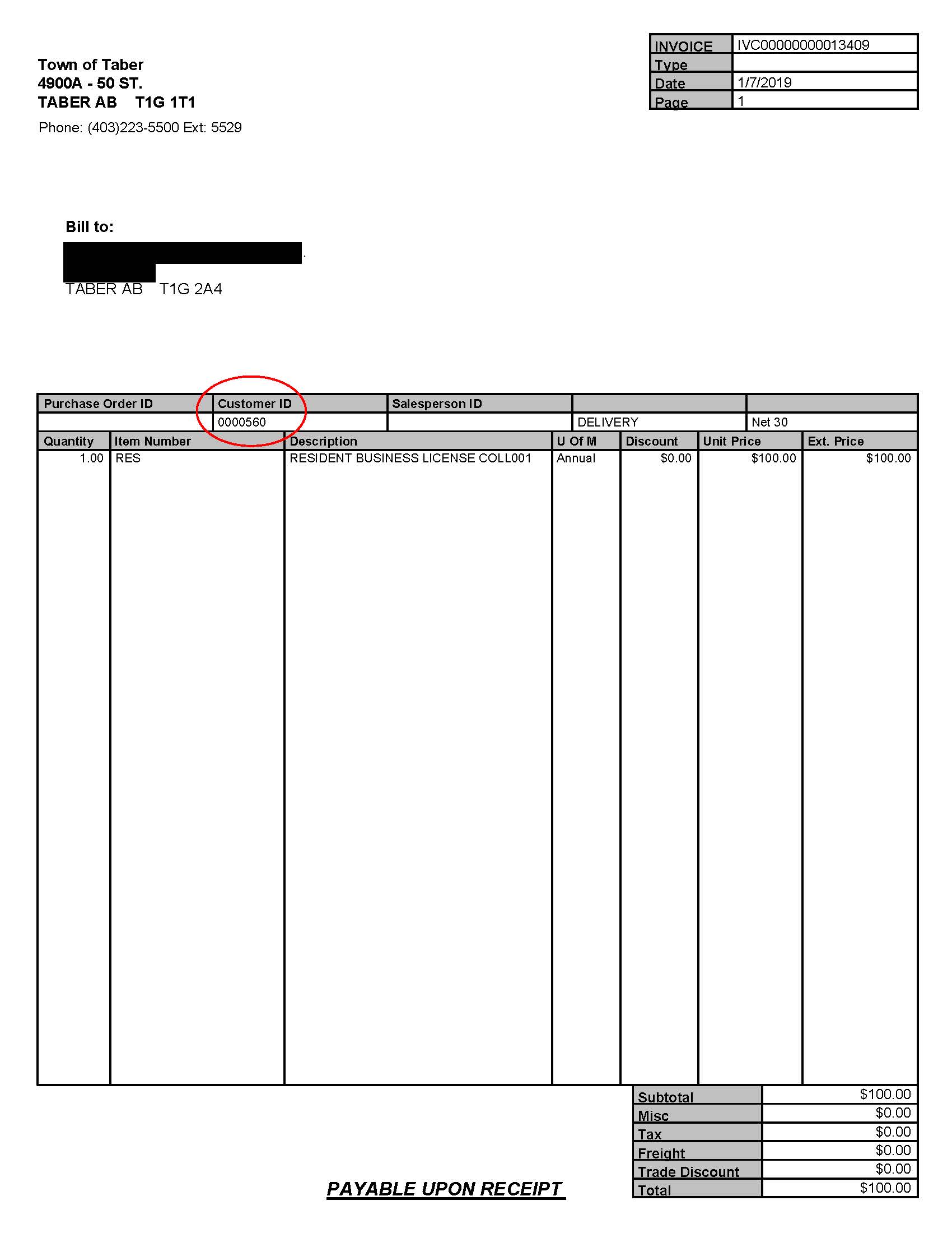 Business License Bill Example