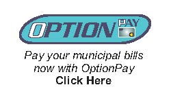 OptionPay Logo