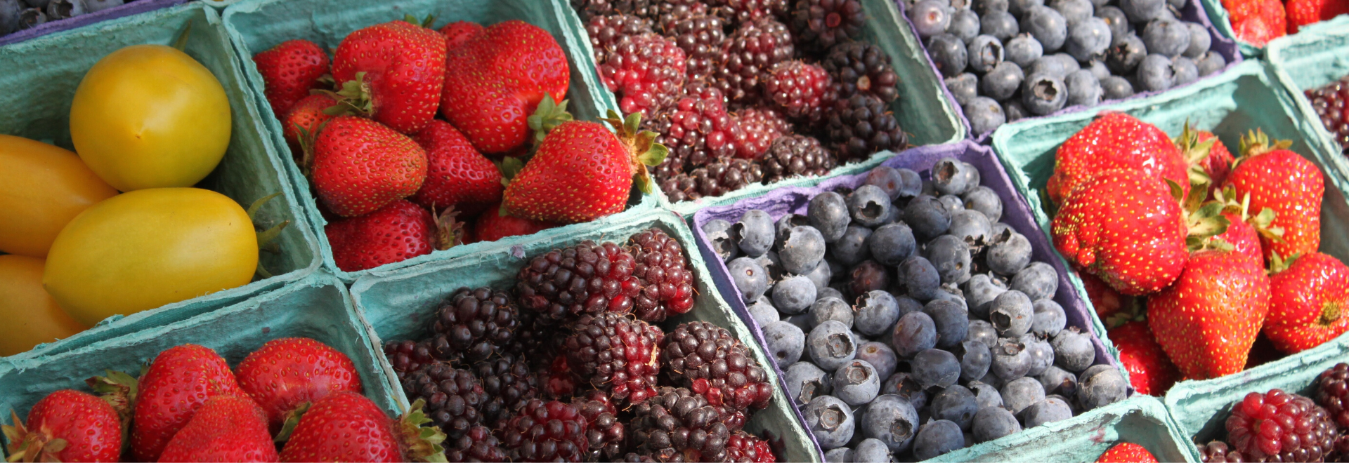 Market- Fruit