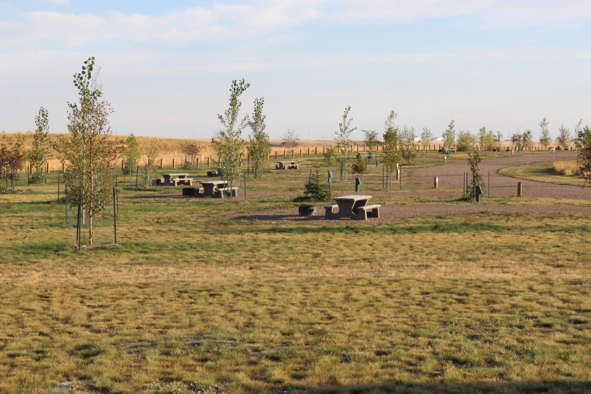 Trout Pond Campground