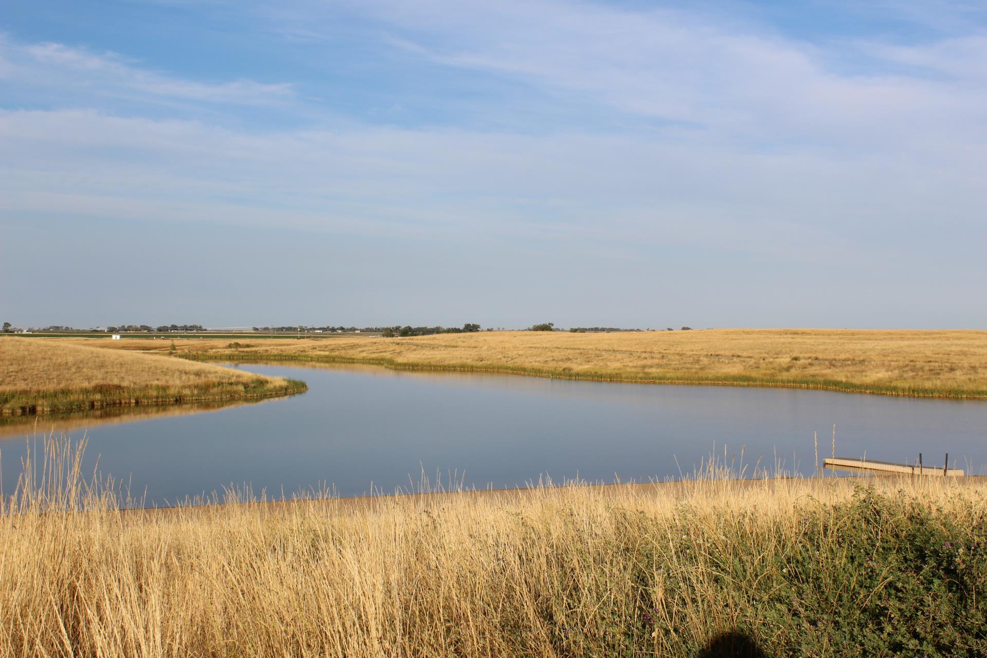 Trout Pond Surrounded by Grass